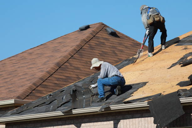 Best Metal Roofing Installation  in Trinity, NC