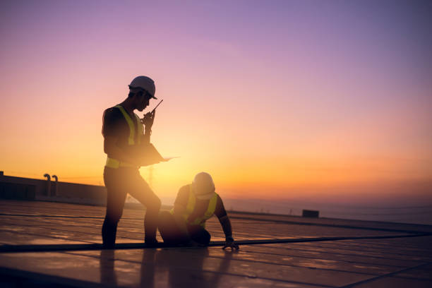 Best Roof Moss and Algae Removal  in Trinity, NC