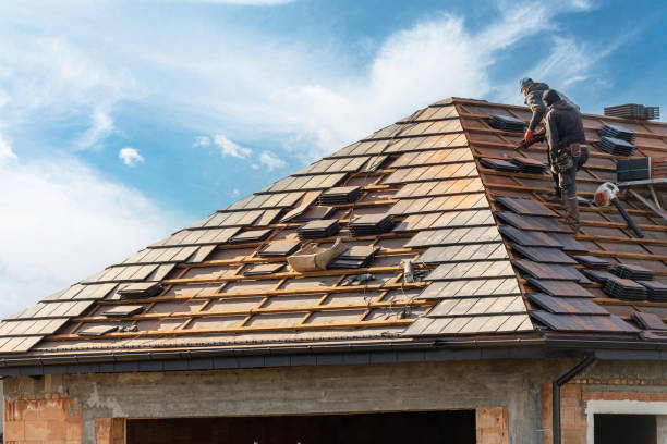 Best Storm Damage Roof Repair  in Trinity, NC