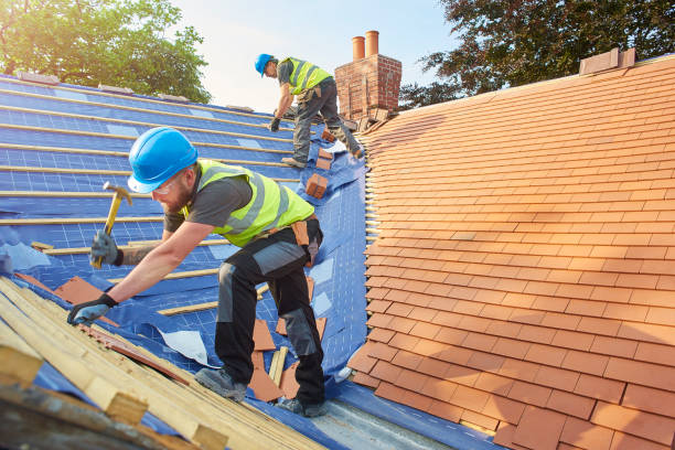 Best Roof Leak Repair  in Trinity, NC